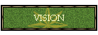 VISION
